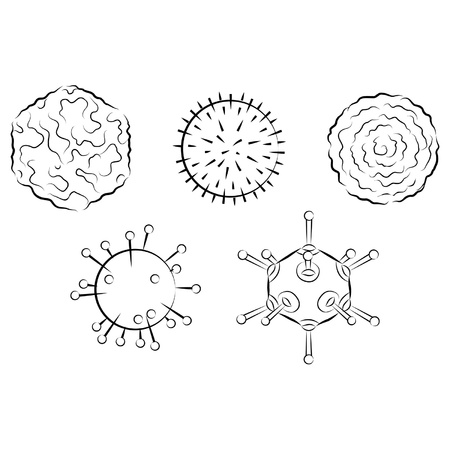 Influenza viruses. Black and white vector illustrationのイラスト素材