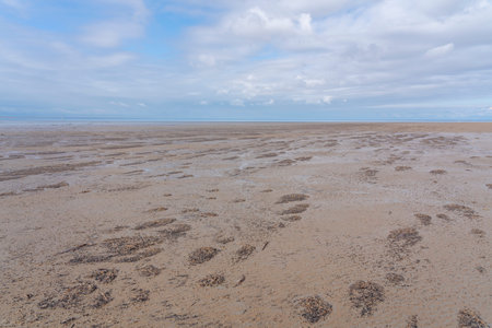 Minimalist landscape of Salt Lake Elton