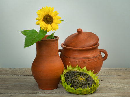 Still life with rustic pottery and blooming and ripe sunflowersの写真素材