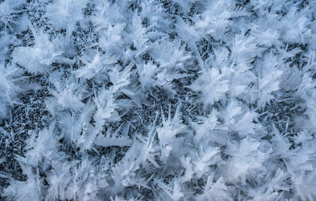 Natural background of frost patternsの写真素材