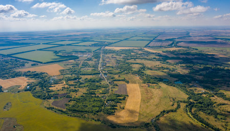 aerial photography of a village located among forests and fields.