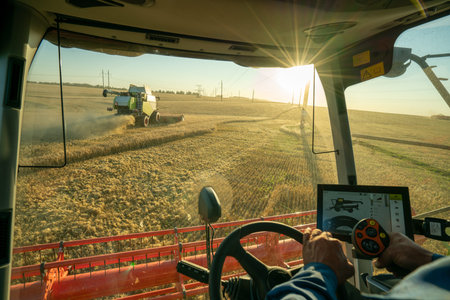 the machine operator at the helm of a modern combine harvester harvests grain