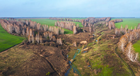 Spring landscape from a birds eye view of agricultural fields with young bright green shoots and...