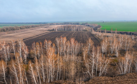 Spring landscape from a birds eye view of agricultural fields with young bright green shoots and trees growing in ravines on the edge of fieldsの写真素材