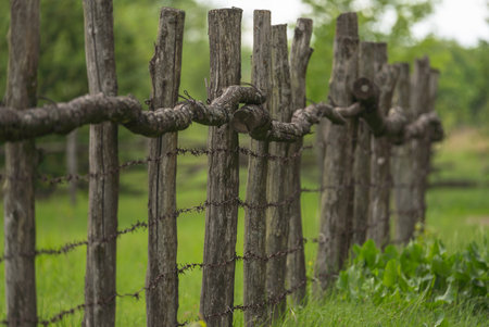 Wooden fence covered with barbed wireの写真素材