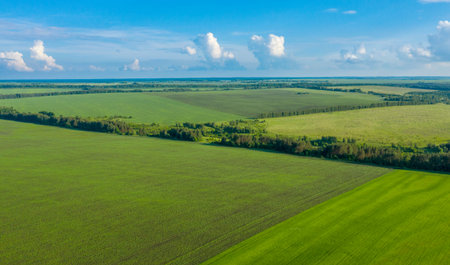 Agricultural fields from a bird's-eye