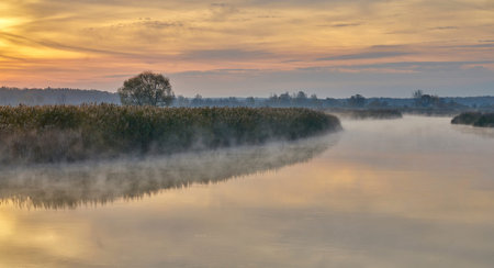 morning fog over the river