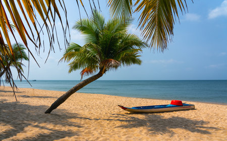 A small fishing boat on the sand of a deserted beach under a palm tree on a sunny dayの写真素材
