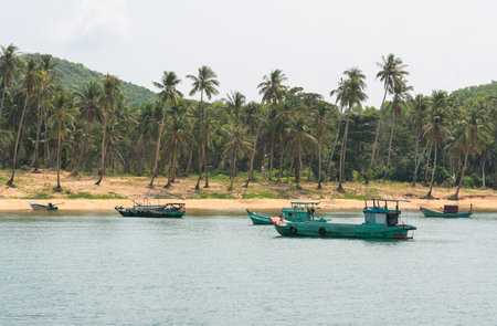 Fishing boats under the flag of Vietnam on the background of a tropical islandの写真素材