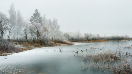 Winter scenery with frozen water and trees in a white frosty hazeの写真素材