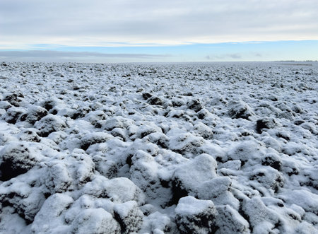 A field of black soil plowed for the winter, covered with snow against the background of a blue winter skyの写真素材