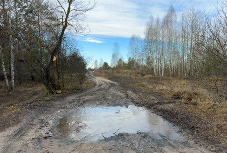 A muddy patch at the beginning of winter, a puddle on a forest road covered with iceの写真素材