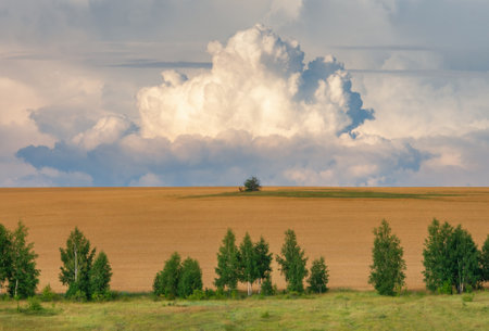 A huge cloud hung over a single tree growing in the middle of a fieldの写真素材