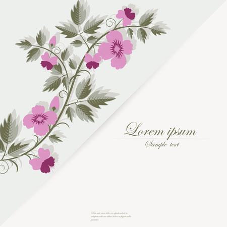 Vector template for folder, brochure, business card and birthday invitation.のイラスト素材