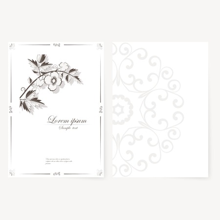 template for folder, brochure, business card and birthday invitation.のイラスト素材
