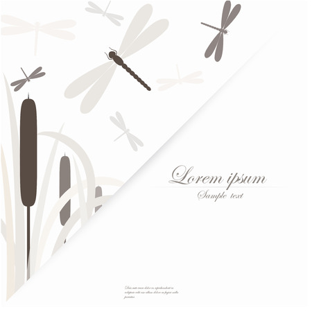 Vector template for folder, brochure, business card and birthday invitation with dragonfliesのイラスト素材