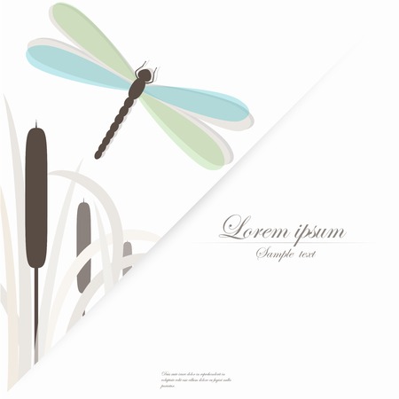 Vector template for folder, brochure, business card and birthday invitation with dragonflyのイラスト素材