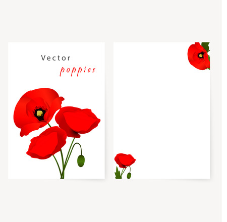 Template card for greeting, invitation, wedding, birthday, Easter with red flowers poppiesのイラスト素材