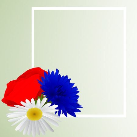 Vector white background with flowers chamomile, cornflowers and red poppyのイラスト素材