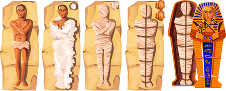 Mummy creation cartoon vector illustration. Stages of mummification process, embalming dead body, wrapping it with cloth and placing in Egyptian sarcophagus. Traditions of ancient Egypt, cult of deadのイラスト素材