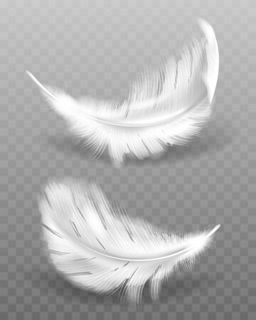 White fluffy feather with shadow vector realistic set isolated on transparent background. Feathers from wings of birds or angel, symbol of softness and purity, design elementのイラスト素材