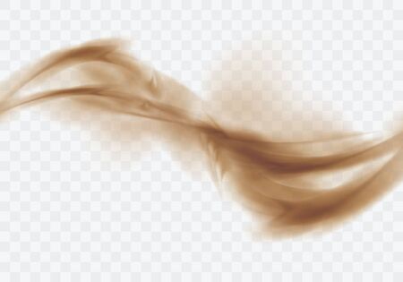 Desert sandstorm, brown dusty twisted cloud banner or dry sand flying with gust of wind, brown smoke realistic texture vector illustration isolated on transparent backgroundのイラスト素材