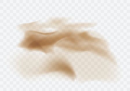 Desert sandstorm, brown dusty cloud or dry sand flying with gust of wind, explosion realistic texture vector illustration isolated on transparent backgroundのイラスト素材