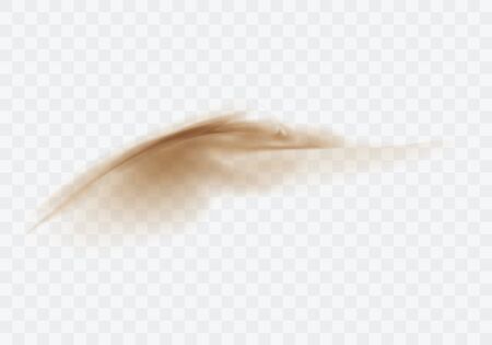 Desert sandstorm, brown dusty cloud or dry sand flying with gust of wind, explosion realistic texture vector illustration isolated on transparent backgroundのイラスト素材