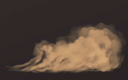 Dust cloud, dirty brown smoke, heavy thick smog with motes sand and soil particles isolated on transparent background. Thunderstorm, air pollution element, Realistic 3d vector illustration, clip artのイラスト素材
