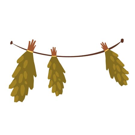 Hanging birch brooms for traditional russian banya or finland sauna. Vector cartoon illustration of bunches of medical herbs for alternative therapy isolated on white backgroundのイラスト素材
