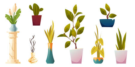 Plants in pots and vases for house or office interior isolated on white background. Vector cartoon set of green potted houseplants, trees and flowers. Home garden with ficus, cactus and callaのイラスト素材