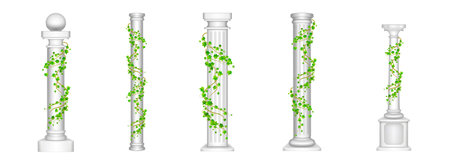 Ivy columns, antique pillars with green climbing liana plant leaves isolated on white background. Ancient classic stone roman or greek architecture for interior facade design, Realistic 3d vector setのイラスト素材