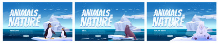 Animals in nature cartoon landing pages. Wild penguins, polar bear and seal sit on ice floes in sea....