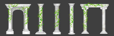 Ivy on marble columns and arches, vines with green leaves climbing on antique stone pillars, creeper plant on decorative greek or roman architecture design elements, Realistic 3d vector illustrationのイラスト素材