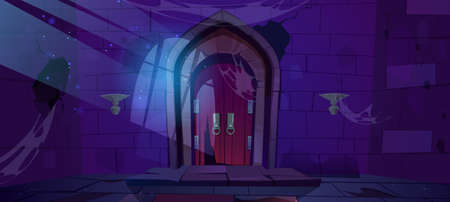 Abandoned dungeon, medieval castle night interior with moonlight fall on wood arched door and barred window shadow on cracked stone wall with spiderweb. Dilapidated palace Cartoon vector illustrationのイラスト素材