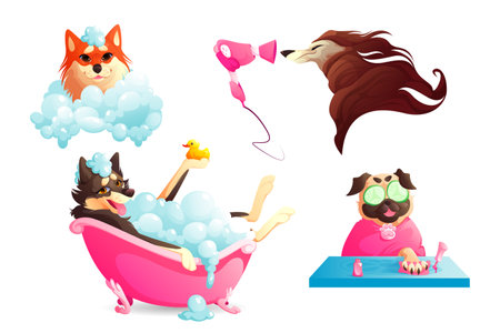 Grooming and spa salon for pets. Dogs washing in bathtub with soap foam, drying fur and manicure. Vector cartoon set of happy canine receive body care in salon or vet clinicのイラスト素材