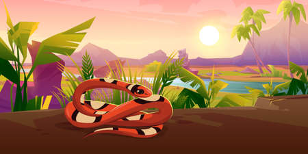 Scarlet milk snake on ground in grass. Vector cartoon illustration of summer tropical landscape with river, mountains, palm trees and exotic serpent with coiled long tailのイラスト素材
