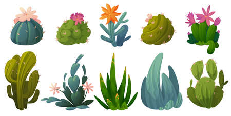Cute cactuses, succulents and desert plants with flowers isolated on white background. Vector cartoon set of green prickly cacti with blossoms and spikes. Icons of houseplant and garden cactaceaeのイラスト素材