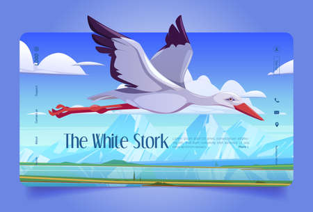 White stork cartoon landing page, beautiful wild bird flying in blue cloudy sky over natural spring time landscape with mountains, river and green fields. Ornithology, wildlife, Vector web bannerのイラスト素材