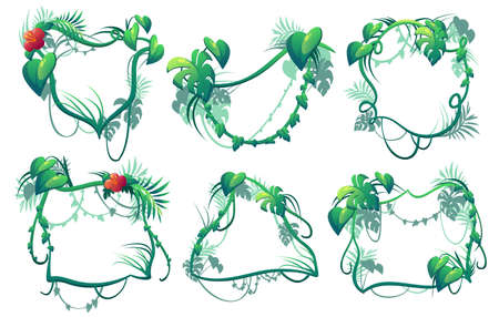 Liana frames, cartoon jungle vines, tropical branch borders. Vector Amazon rainforest thicket. Tropic forest plant leaves and flowers, climbing and hanging green tree foliage spinney isolated setのイラスト素材