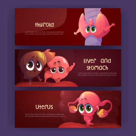 Human internal organs posters with thyroid, liver, stomach and female uterus with ovaries. Vector medical banners with cartoon illustration of cute characters of body anatomy partsのイラスト素材