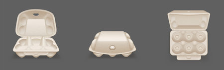 Carton egg tray, blank box package mock up. Vector realistic mockup of 3d empty open and closed...