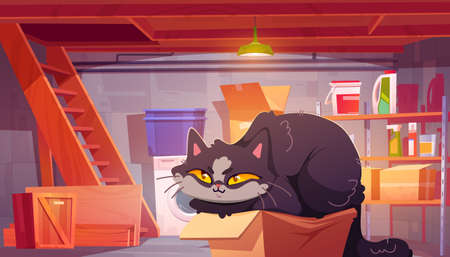 House basement with cute cat sitting in cardboard box. Vector cartoon illustration of home cellar interior with laundry, storage and funny fluffy kitten hiding in carton boxのイラスト素材