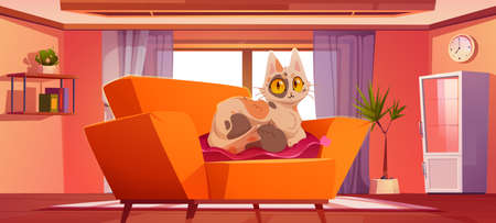 Living room with cute cat lying on pillow on sofa. Vector cartoon illustration of modern lounge interior with cabinet, shelf with books and funny furry kitten on couchのイラスト素材