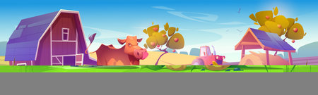 Farm landscape with cow gaze near wooden barn, tractor plow field, hay, ripe pumpkins and fruit trees in garden. Agriculture and farming countryside, village background, Cartoon vector illustrationのイラスト素材
