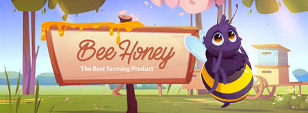Banner with cute bee near wooden signboard with dripping honey on apiary at forest meadow with beehives, trees and blooming flowers at sunny summer day landscape, Cartoon vector farm product ads promoのイラスト素材