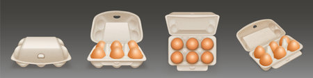 Carton egg tray, blank box package mock up. Vector realistic mockup of 3d open and closed cardboard container for half dozen chicken eggs isolated on backgroundのイラスト素材