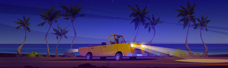 Car driving road along night beach. Automobile travel at tropical landscape with palm trees along...
