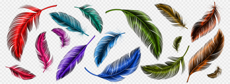 Color feathers, soft bird plumage isolated on transparent background. Red, pink, blue and green fluffy lightweight quills, bright colored feathers, vector realistic illustrationのイラスト素材