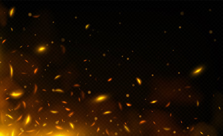 Realistic fire sparks, orange flame light and smoke overlay effect on dark transparent background. Vector illustration of burning hot particles, coal ash flying over bonfire or grill. Design elementのイラスト素材